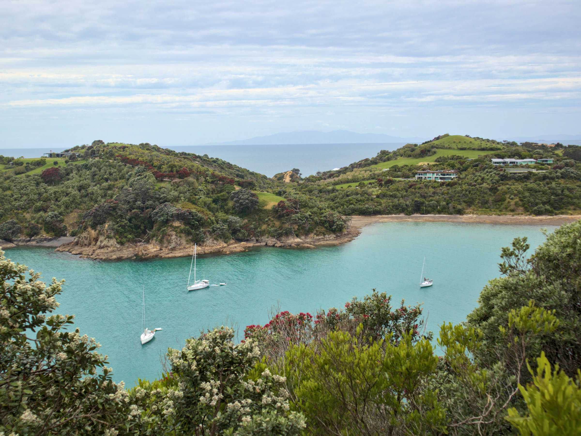 Waiheke Island: A Mini Guide to the Hamptons of New Zealand - Passion ...